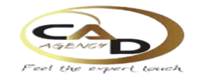 cad agency removebg preview