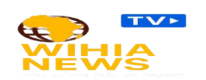wiha tv removebg preview